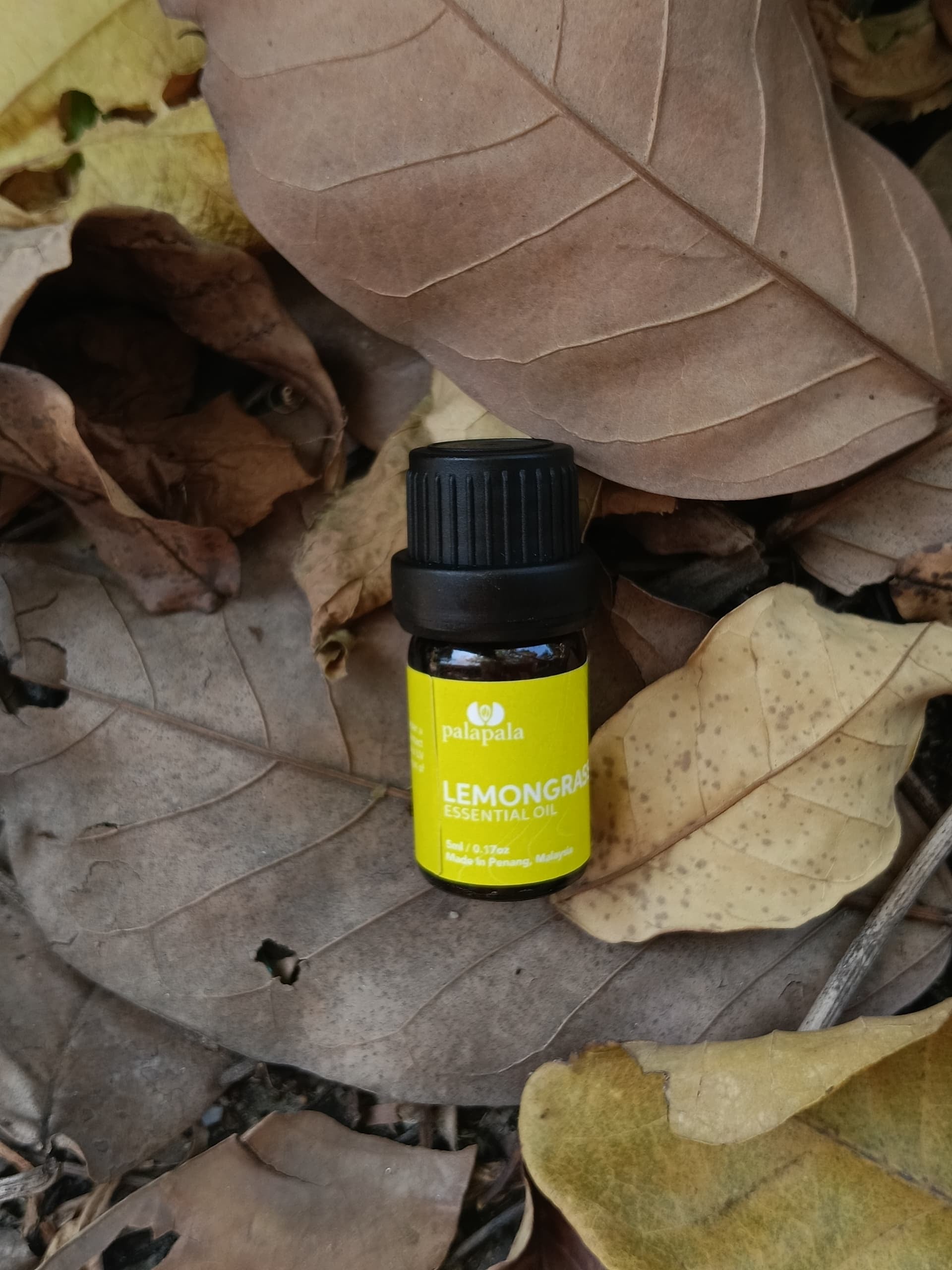 柠檬草精油（Lemongrass）